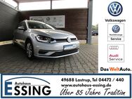 VW Golf Variant, 1.6 TDI Comfortline, Jahr 2020 - Lastrup