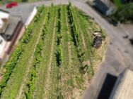 Baugrundstück in direkter Weinberglage am Rande des Naturschutzgebietes zu verkaufen! - Albersweiler