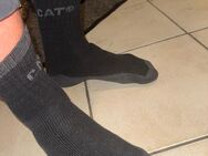 Getragene CAT socken - Herne