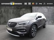 Opel Grandland X 1.2 DI Turbo INNOVATION - Altenkirchen (Westerwald)