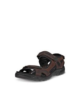 Ecco Offroad Outdoorsandale, Sommerschuh, Klettschuh, Outdoorschuh, in Trekking-Optik