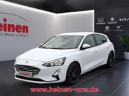 Ford Focus, 1.0 Mild-Hybrid Trend 16Z ALLWETTER, Jahr 2021 - Holzwickede