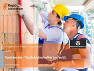 Dachdecker / Dachdeckerhelfer (m/w/d) - Gröningen