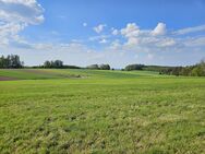 Absolute Alleinlage Perle Bauernhaus mit Herz Erholungsoase Weitblick 2 Wohnungen + Nebengebäuden - Niederrieden