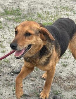 Tobi wartet auf tolle Abenteuer - Nordwalde