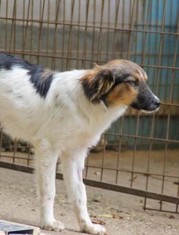 Juliana möchte Köfferchen packen - Schwabach