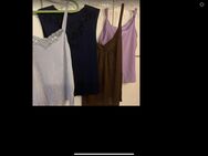 4 fast neue Basics - Tettnang