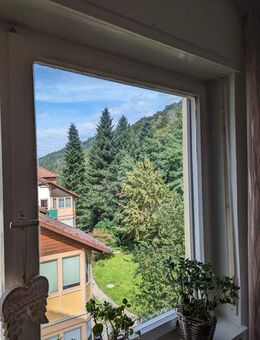 Vermietete 3-Zi.-Whg, Wohnen wo andere Urlaub machen - Bad Herrenalb