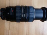 Nikon AF VR Zoom-NIKKOR 80-400mm 1:4,5-5,6D ED - Hamburg