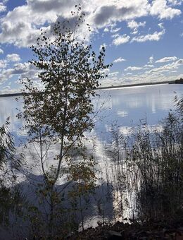 Idyllisches Landhaus mit Baugrundstücken nahe des Schlabendorfer Sees. - Luckau