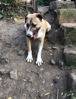 Vera - sucht ihr Abenteuer - Mönchengladbach