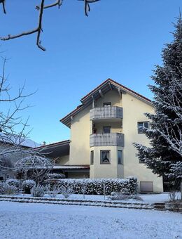 MFH herrliche Waldrandlage in Waldshut Provision frei - Waldshut-Tiengen