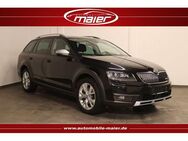 Skoda Octavia Scout 4x4 DSG-Navi-Xenon-Kamera-AHK-ACC- - Bebra