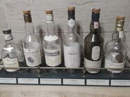 Whisky Regal / Board ,Geschenkset,Tasting-Set aus Holz mit Messingumrandung .Die „Classic Malts of Scotland“ 1987/1988 - Saarlouis