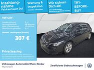 VW Golf, 2.0 TDI VIII Life, Jahr 2024 - Mannheim