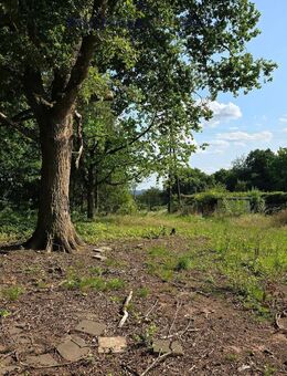 Seltene Gelegenheit! Häuschen im Grünen! Natur pur! - Schmelz