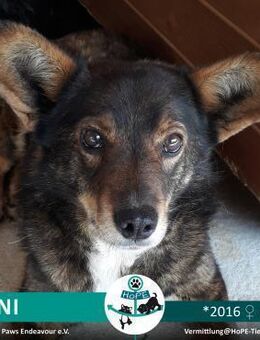 IRINI - 2016 - Leimen (Baden-Württemberg)