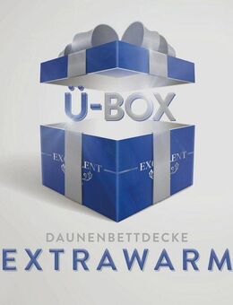 Excellent Daunenbettdecke Überraschungsbox, Füllung: 90% Daunen, 10% Federn, Bezug: Baumwolle, absoluter Sonderpreis, wegen Lagerräumung, Solange der Vorrat reicht