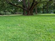 Hundebetreuung Berlin Tiergarten - Berlin Mitte