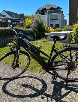 Telefunken e-bike Trekking Bike - Hattingen