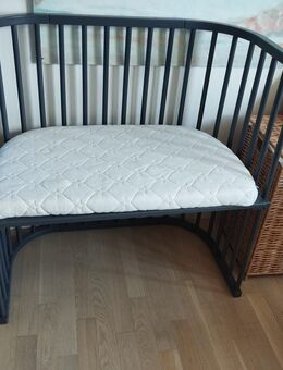 Babybay Boxspringbett schiefergrau - Allmersbach (Tal)
