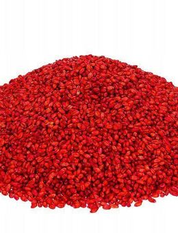 3kg Rattenköder Mäuse Pad Ratten Köder Bekämpfung Rattengift Hochwirksam Set43 - Wuppertal