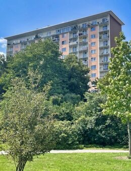 Hoch hinaus zwischen Zoopark und Rethelstraße: City-Apartment! - Düsseldorf