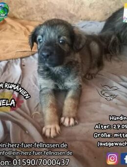 MIELA-genießt ihre Babyzeit und dann.... - Waakirchen