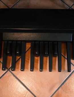 Keyboard-Bundle: Solton MS5 und Technics SX-KN1000 - Attendorn (Hansestadt)