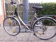 Citybikes Damenfahrrad - Münster