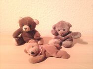 Teddys . Stoffteddys . PRO TEDDY 3 € - Lübeck