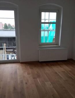 Helle & geräumige 2 Raumwohnung + große Dusche + Balkon - Heidenau (Sachsen)
