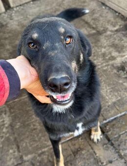 MARIBEL ~ einfach toll + zauberhaft - Duisburg
