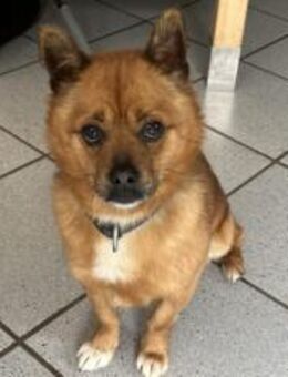 Wer hat Liebe übrig für JayJay? - München