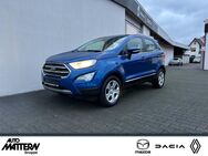 Ford EcoSport, Titanium WKR, Jahr 2019 - Melle