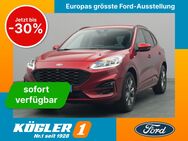 Ford Kuga, ST-Line X 150PS &, Jahr 2021 - Bad Nauheim