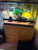 Wunderschönes Terrarium von ExoTerra in 48431