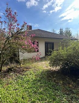 Ein Bauhausklassiker mit ca. 200m² Wohn.-und Nutzfläche und Parkähnlichem Grundstück auf 4787 m²! - Witzenhausen