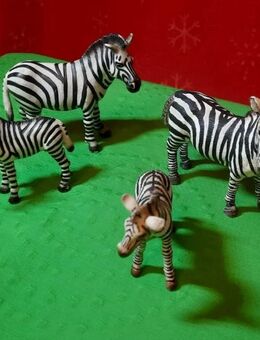 Schleich Zebras - Bernau (Berlin)