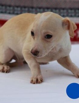 437695 - meine beste Familie finden - Overath