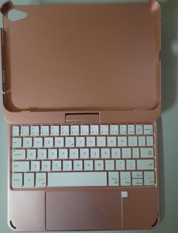 Tablet Hülle I Pad Mini 6 - Reinheim
