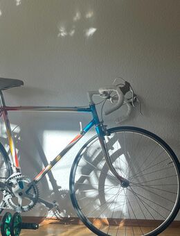 Staiger Fahrrad Cavallo III - Ostfildern