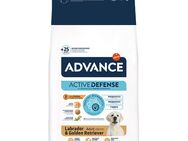 Advance Labrador Retriever Adult - 11,5 kg