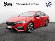 Skoda Octavia, 2.0 TDI First Edition, Jahr 2021 - Uelzen