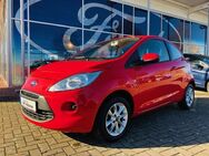 Ford Ka 1.2 Cool & Sound *WINTER-PAKET*LM*KLIMA* - Marienmünster