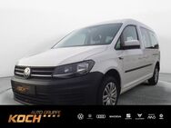 VW Caddy, 2.0 TDI Maxi Trendline Maxi Trendline, Jahr 2019 - Schwäbisch Hall