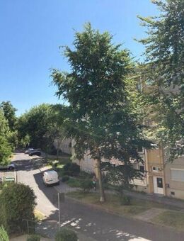 Familienfreundliche 3-Raum-Wohnung in Schöndorf - Weimar