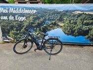 Ebike von raymon mit 1800 km - Hohenstein-Ernstthal
