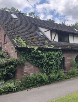 Erfüllen Sie sich den Traum vom Eigenheim in Bodenwerder! - Bodenwerder (Münchhausenstadt)