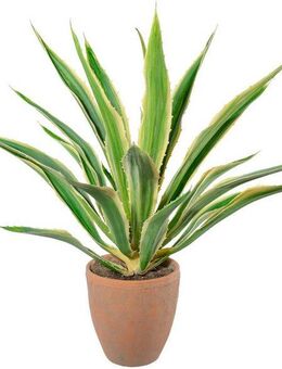 Künstliche Zimmerpflanze Agave im Terracottatopf Sukkulente, Creativ green, Höhe 85 cm